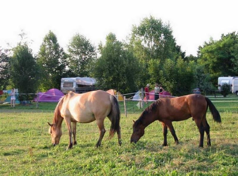 EARL Lo Casau - Camping Poublan