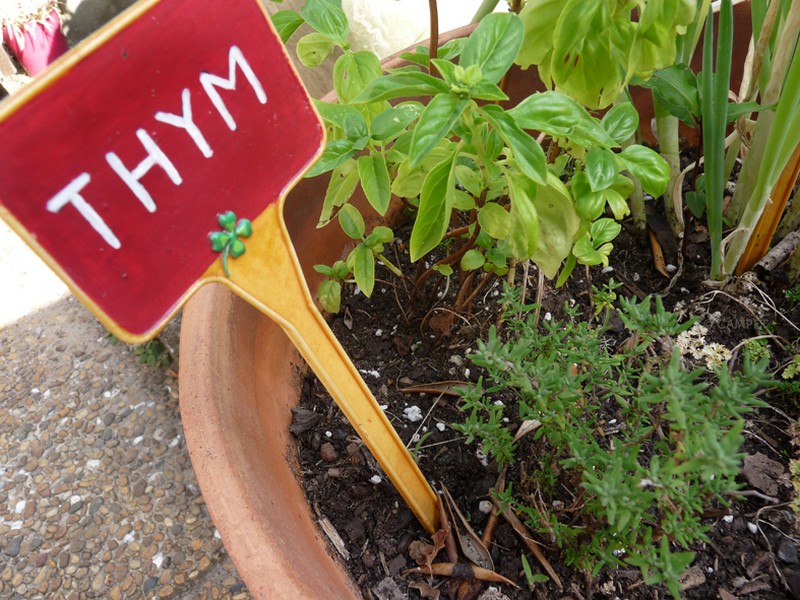 Agréable location dans maison typique, Biscarrosse - photo 15