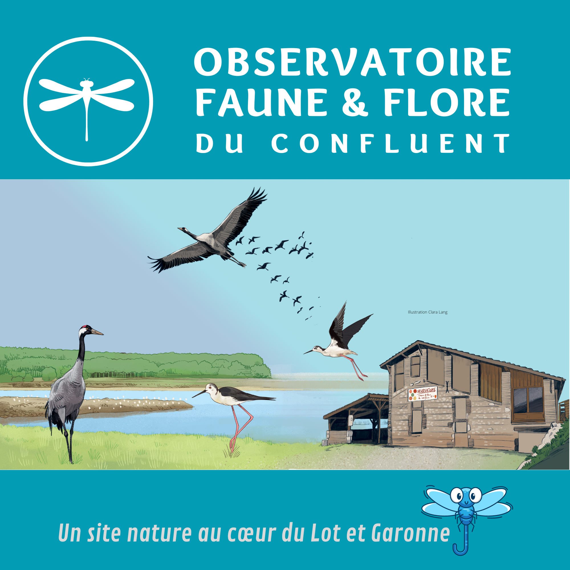 Observatoire de la faune et de la flore du Confluent, Damazan