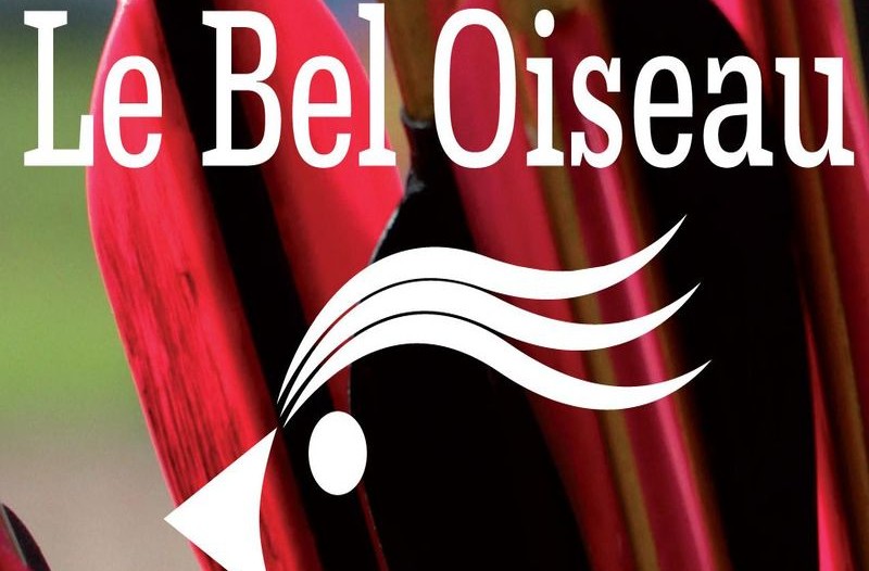 Le Bel Oiseau Tir à l'Arc sur cible 3D - photo 4