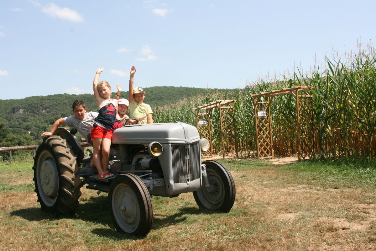 Labyrinthe de Maïs des Châteaux - photo 2