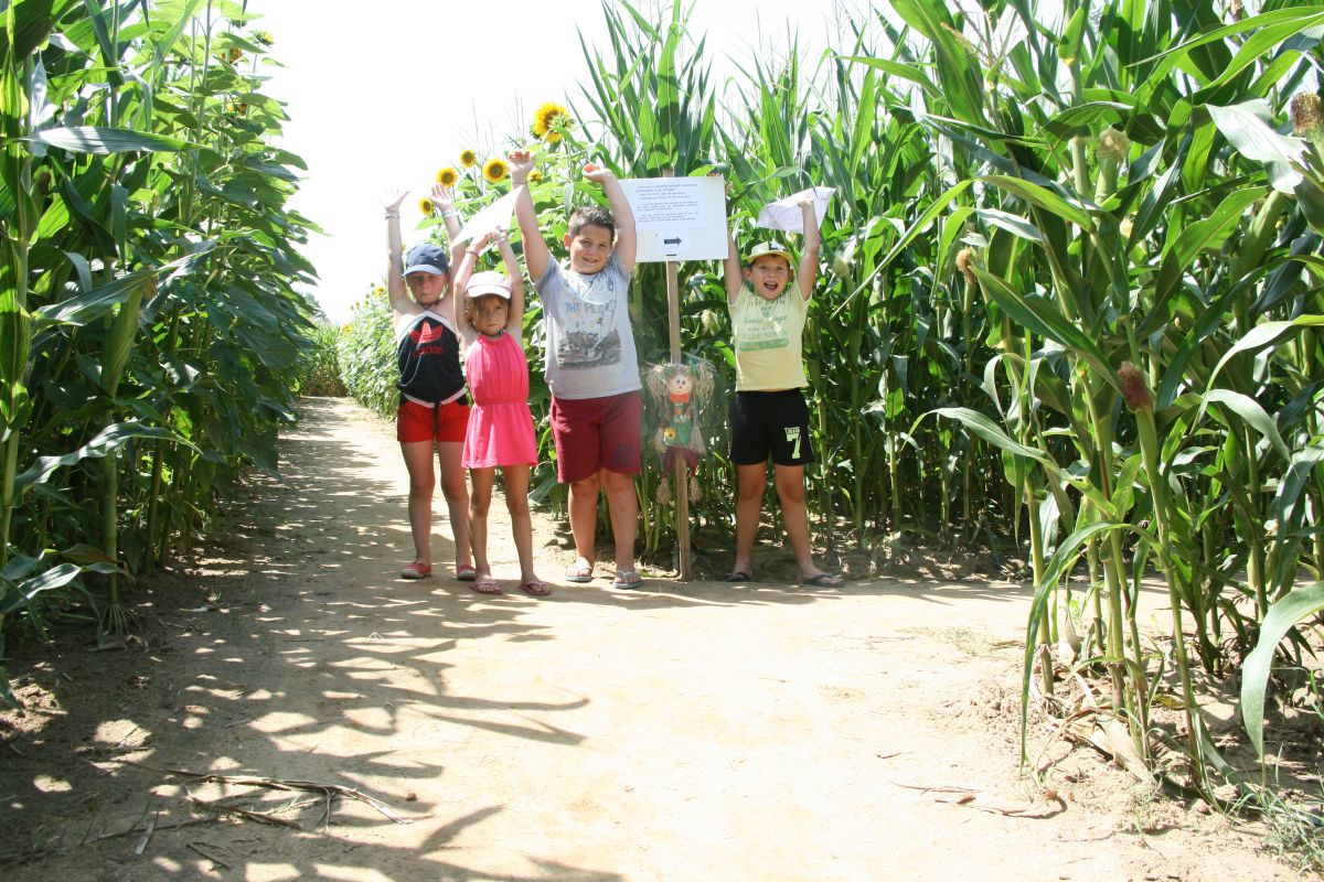 Labyrinthe de Maïs des Châteaux - photo 3