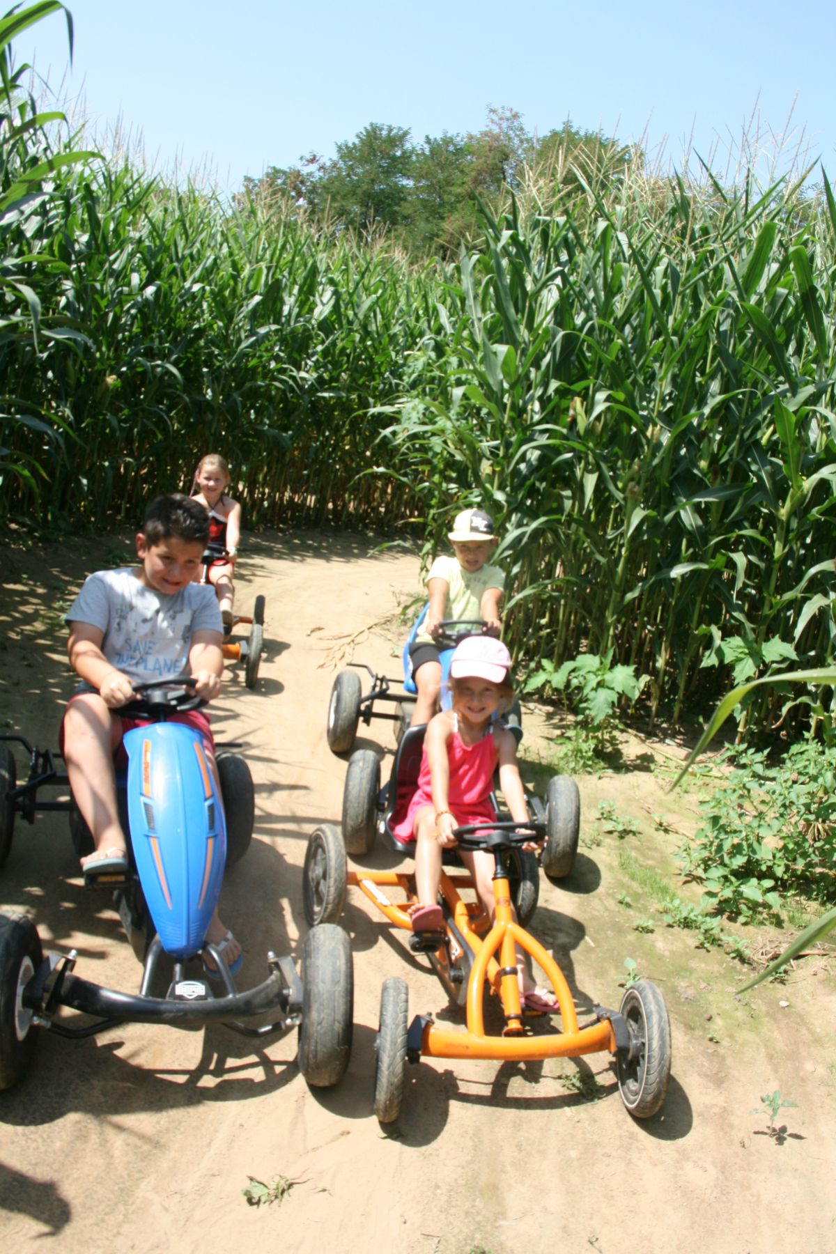 Labyrinthe de Maïs des Châteaux - photo 4