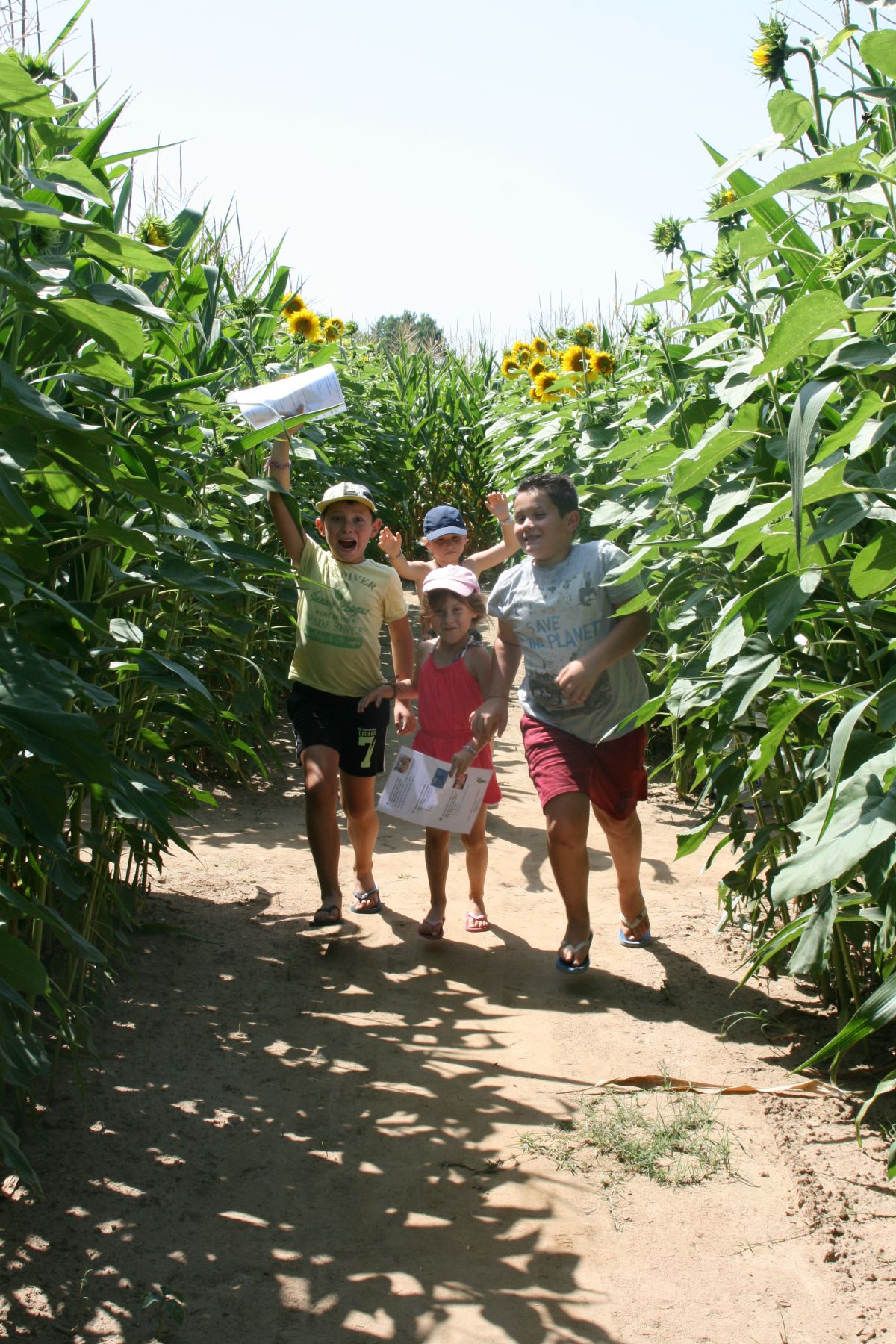 Labyrinthe de Maïs des Châteaux - photo 5