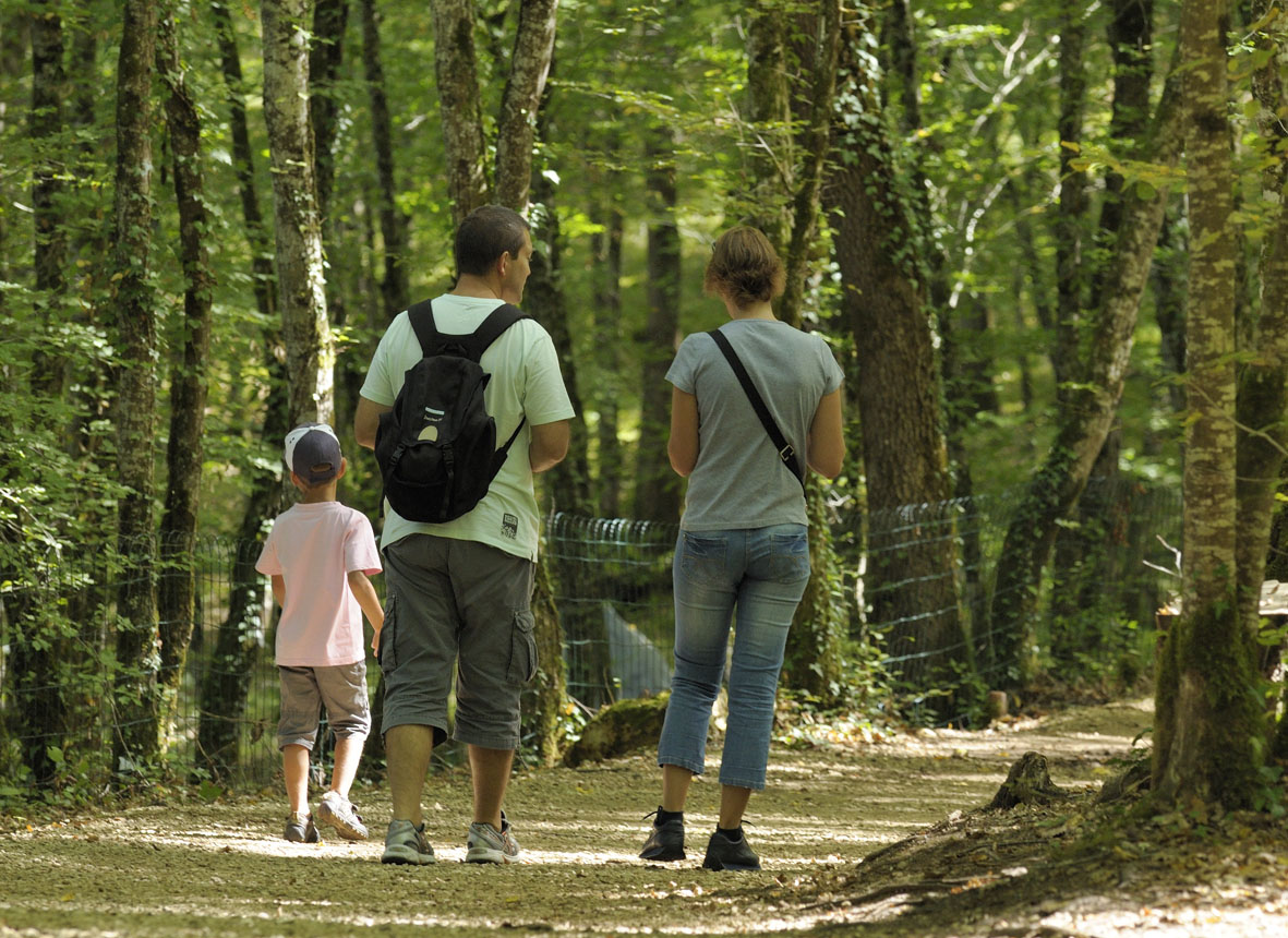 Parc aux dinosaures Dordogne, Saint-Léon-sur-Vézère - photo 8
