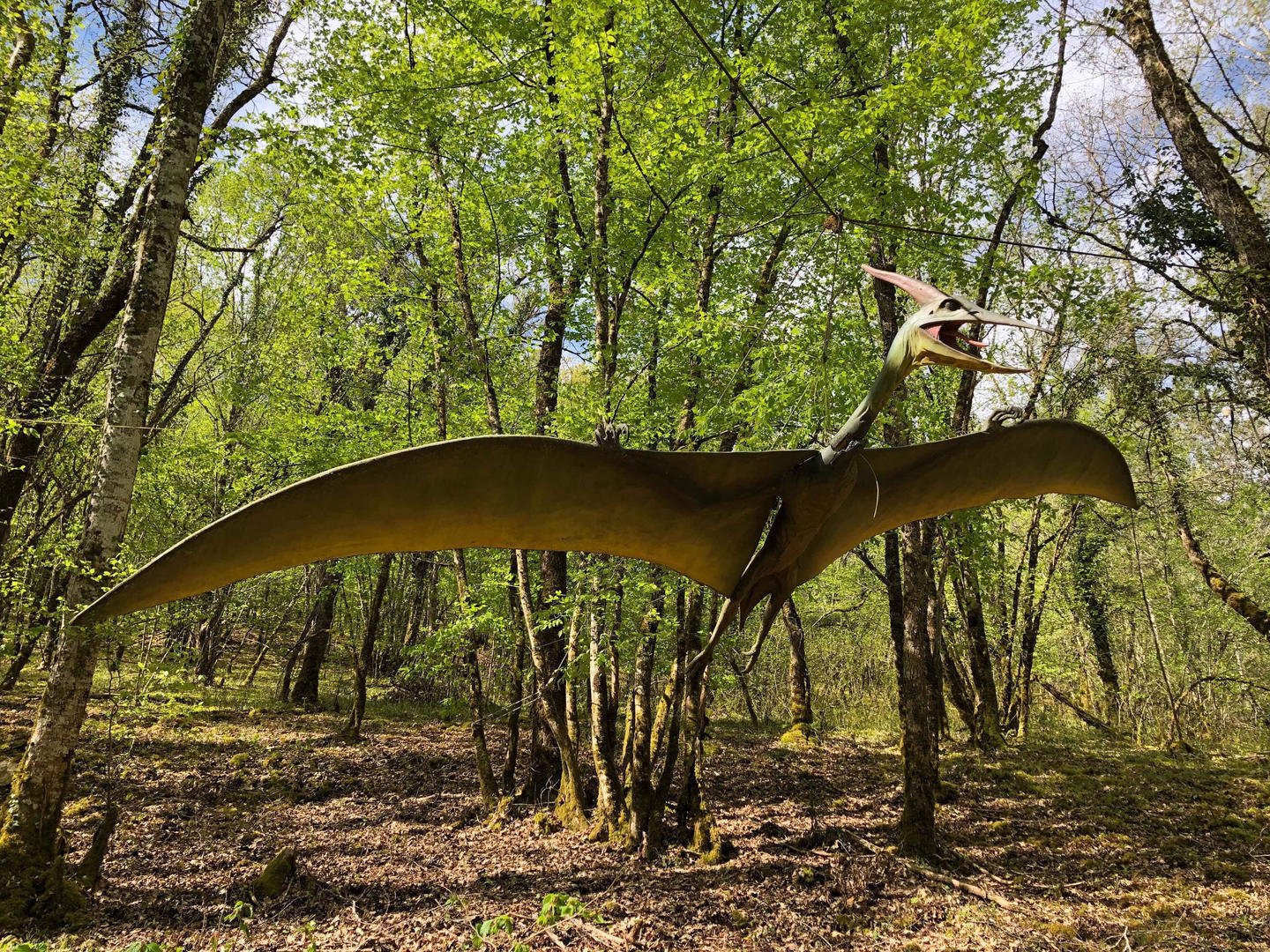 Parc aux dinosaures Dordogne, Saint-Léon-sur-Vézère - photo 10
