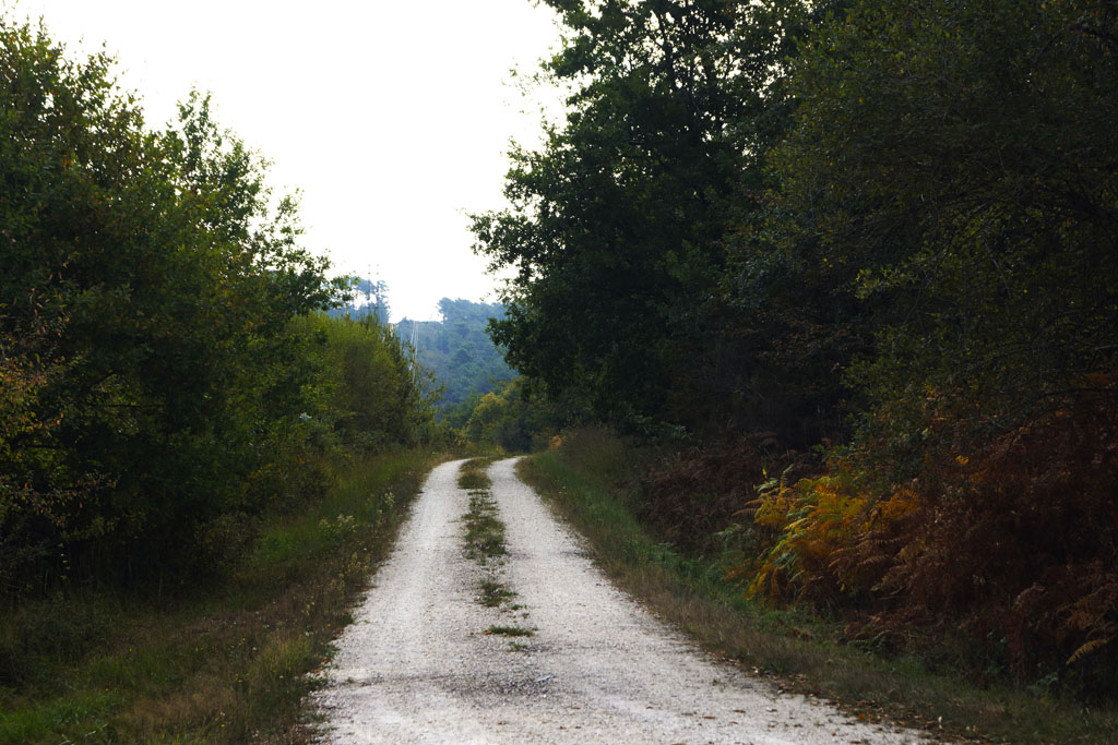 Boucle de Biorne - Lunas, Lunas - photo 2