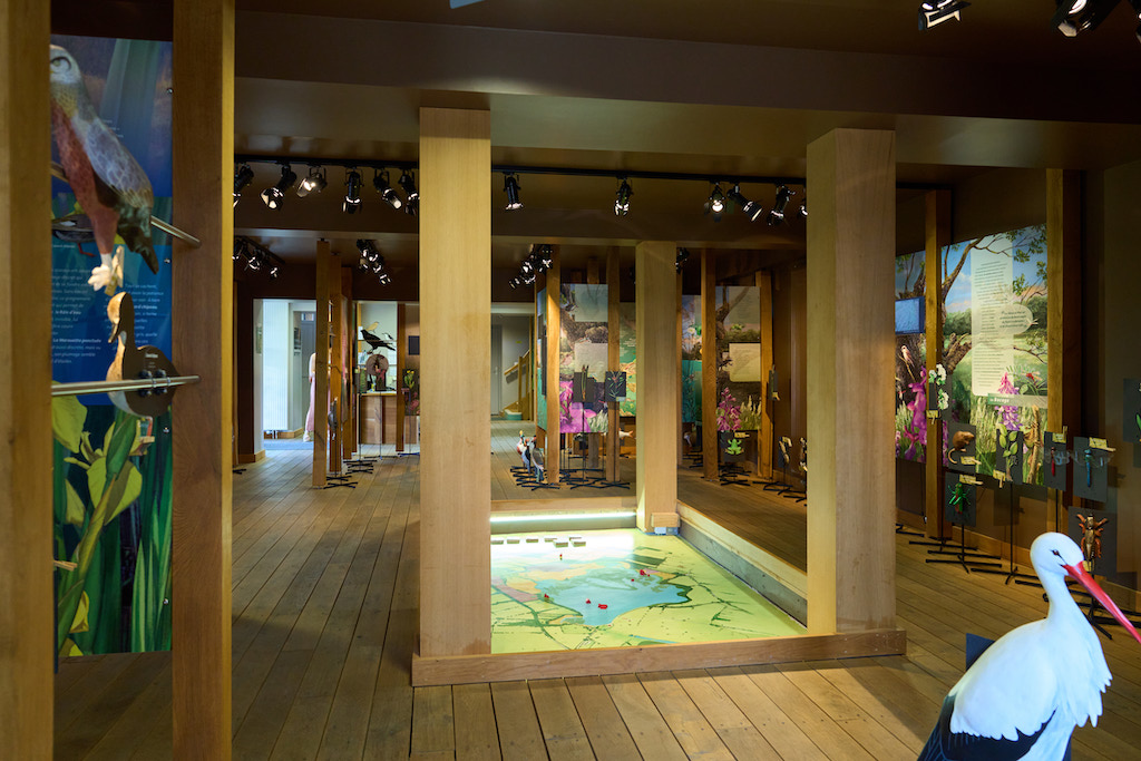 Maison de la Réserve Naturelle de l'étang des Landes, Lussat - photo 3