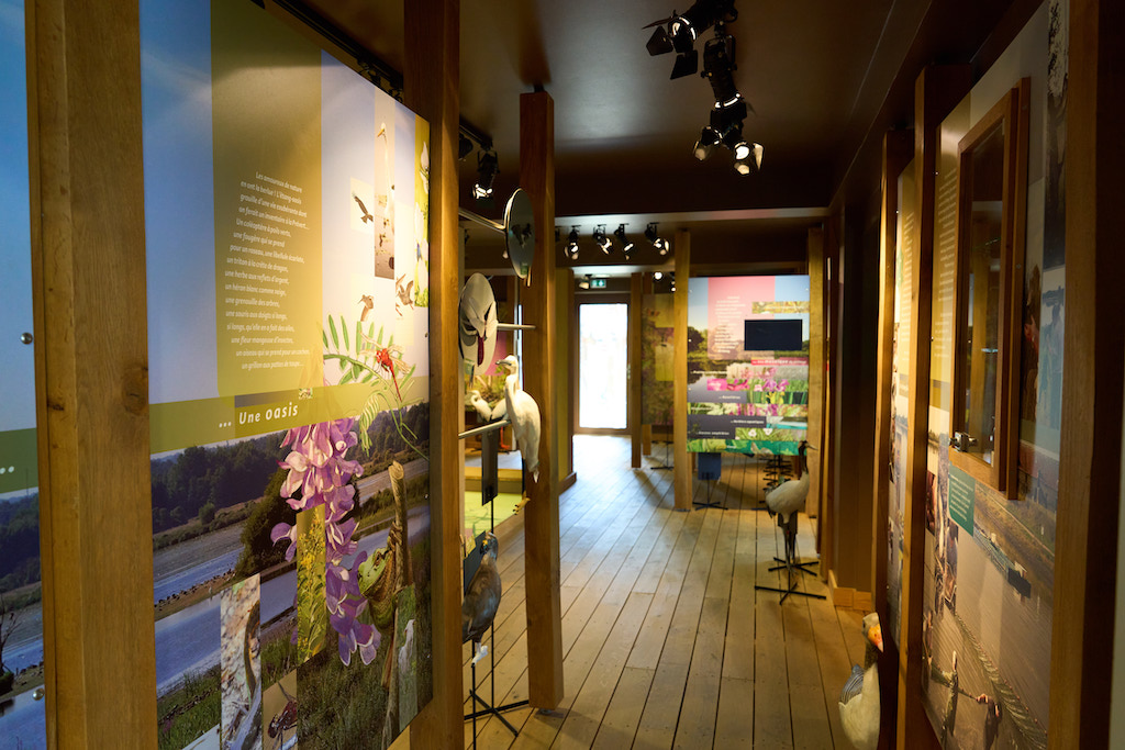 Maison de la Réserve Naturelle de l'étang des Landes, Lussat - photo 2