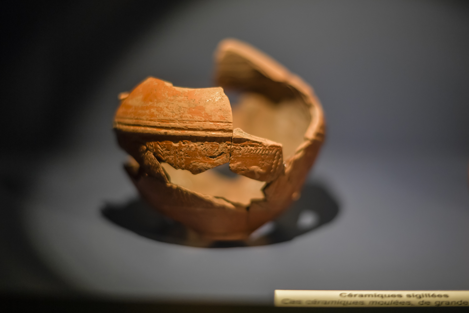 Musée du Lac - Archéologie, Sanguinet - photo 11