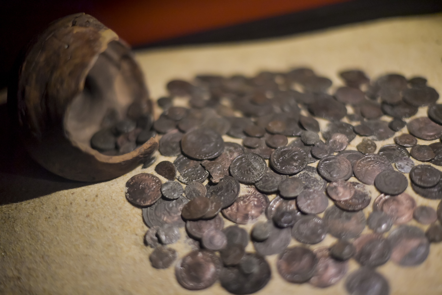 Musée du Lac - Archéologie, Sanguinet - photo 8