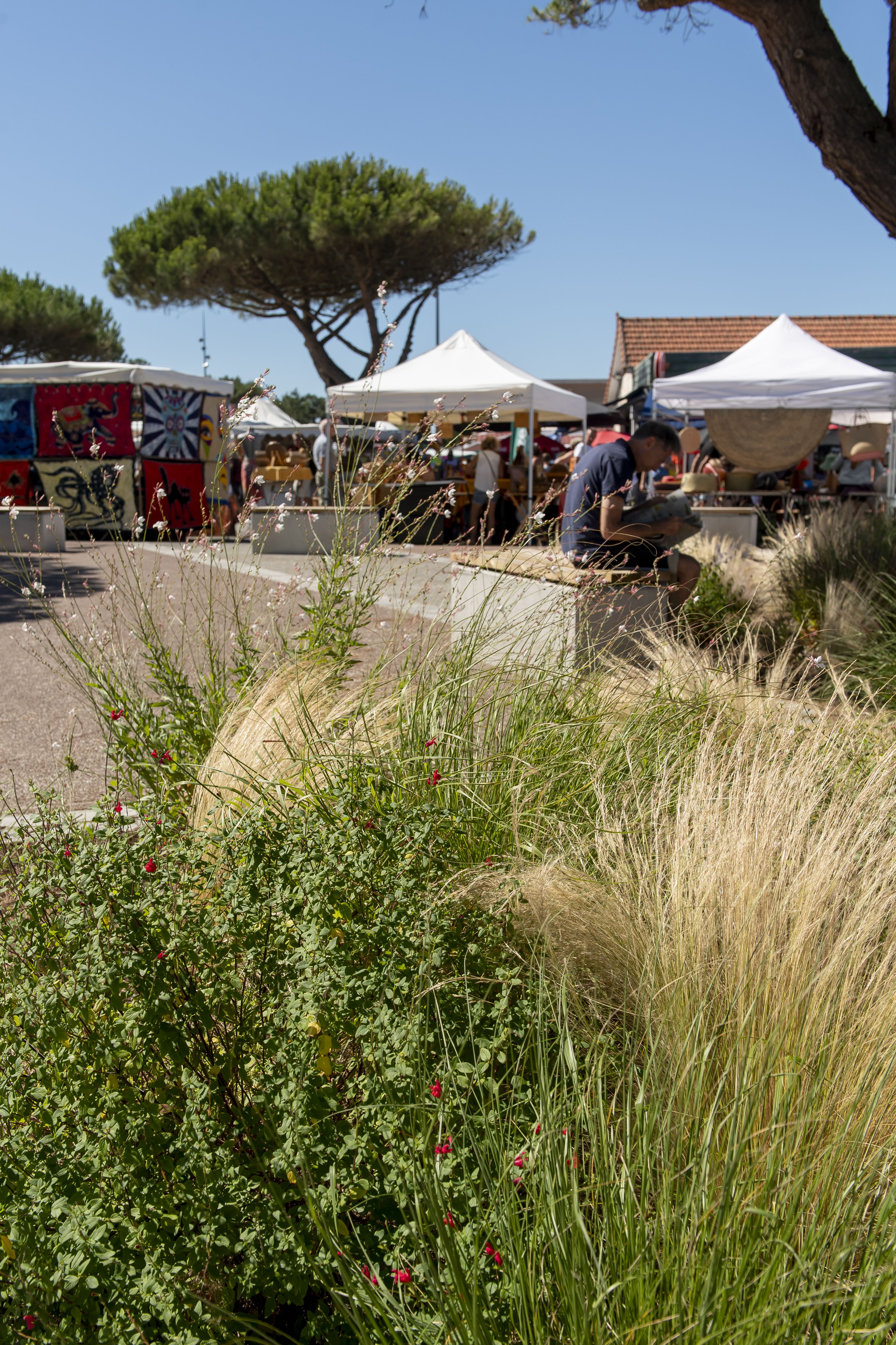 Les Pistes de Robin : Montalivet-les-Bains, Vendays-Montalivet - photo 3