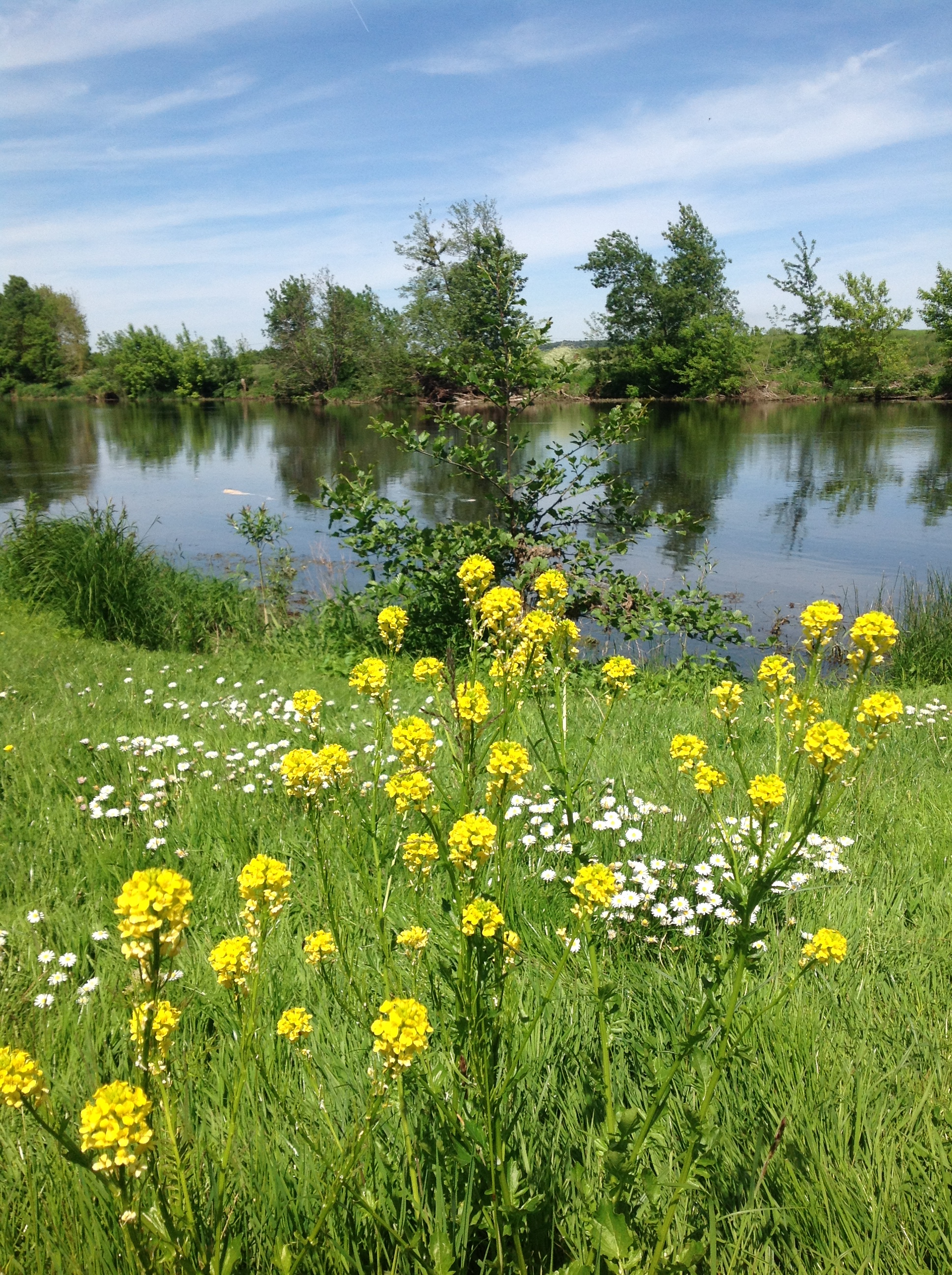 Parc Orillard à La Roche-Posay