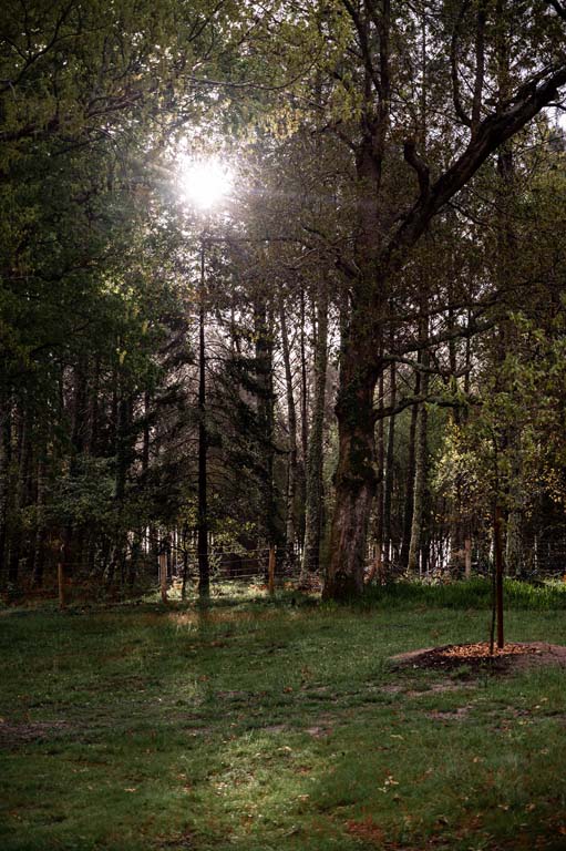 Bergerie du Chot, Uza