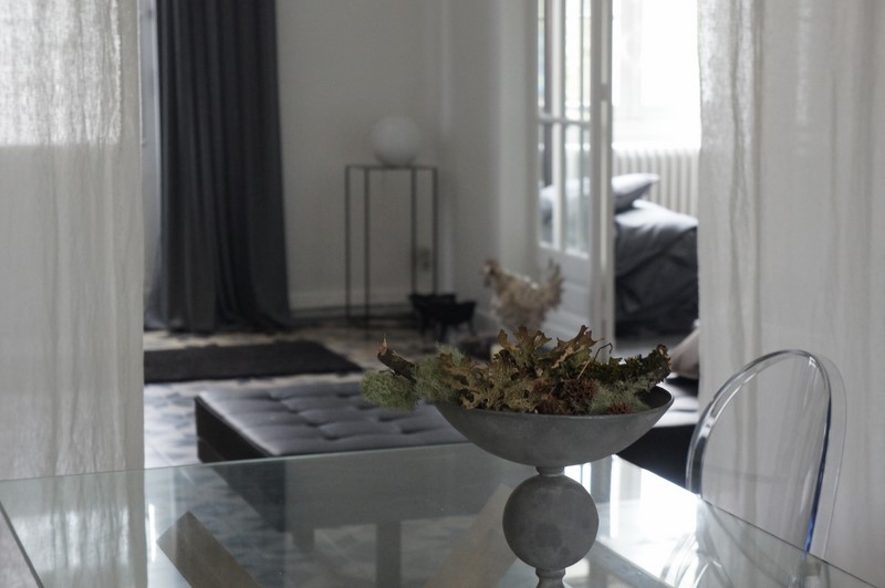 La Blanche Girondine, Hostens - photo 2