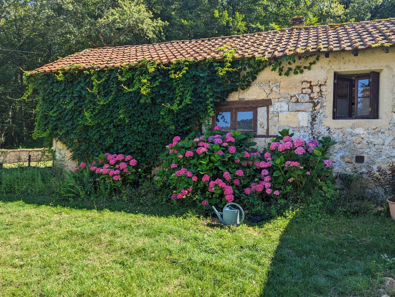 Le Bois des Placials, Les Eyzies - photo 6
