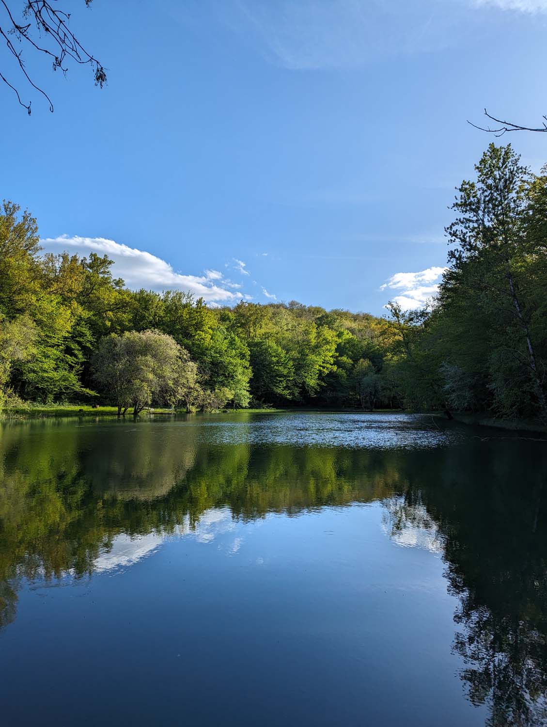 Le Bois des Placials, Les Eyzies - photo 3