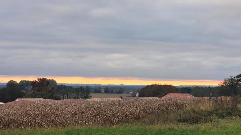 La Box des Oiseaux, Gamarde-les-Bains - photo 10