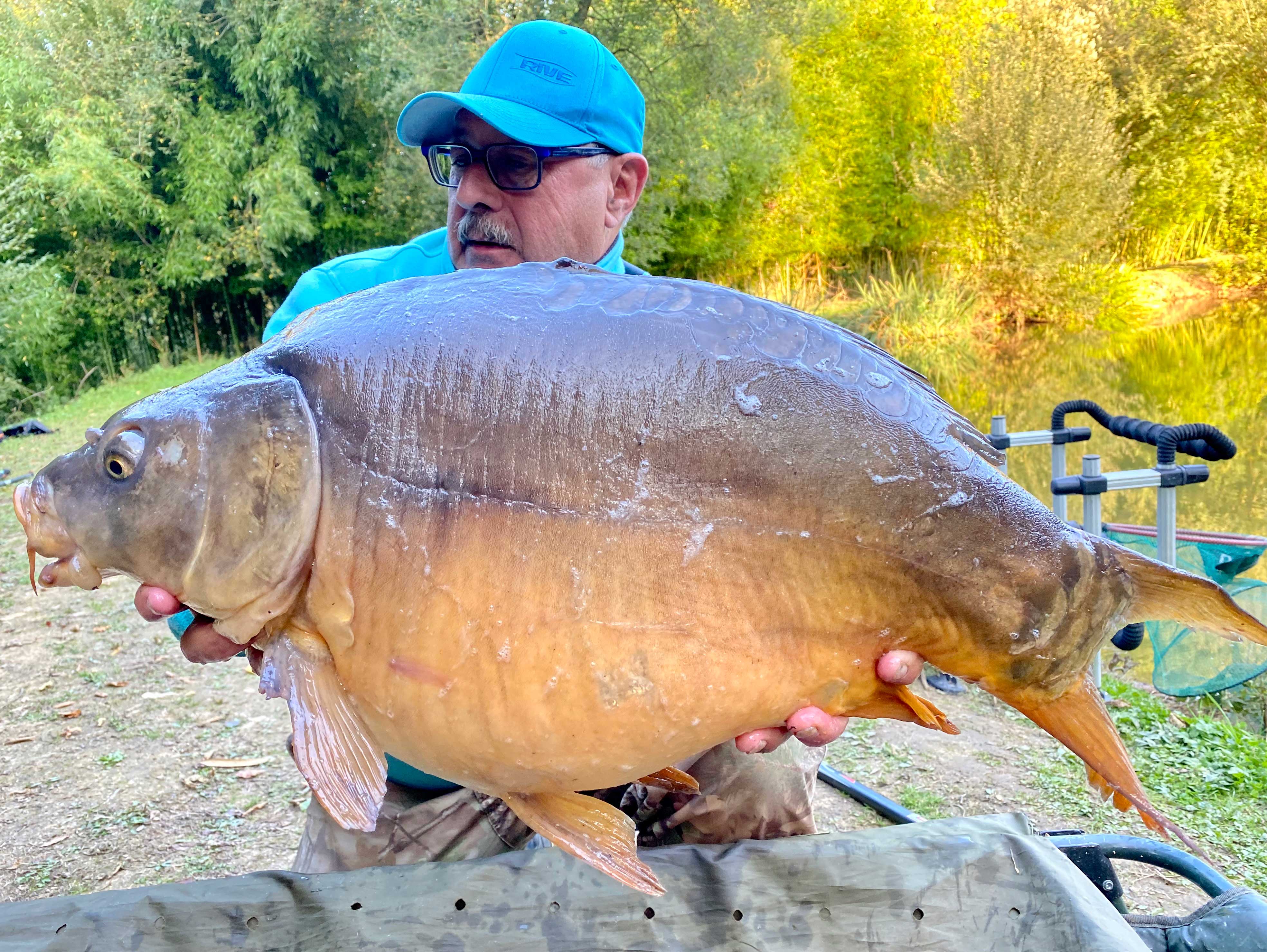 La Clé des Champs, Scillé