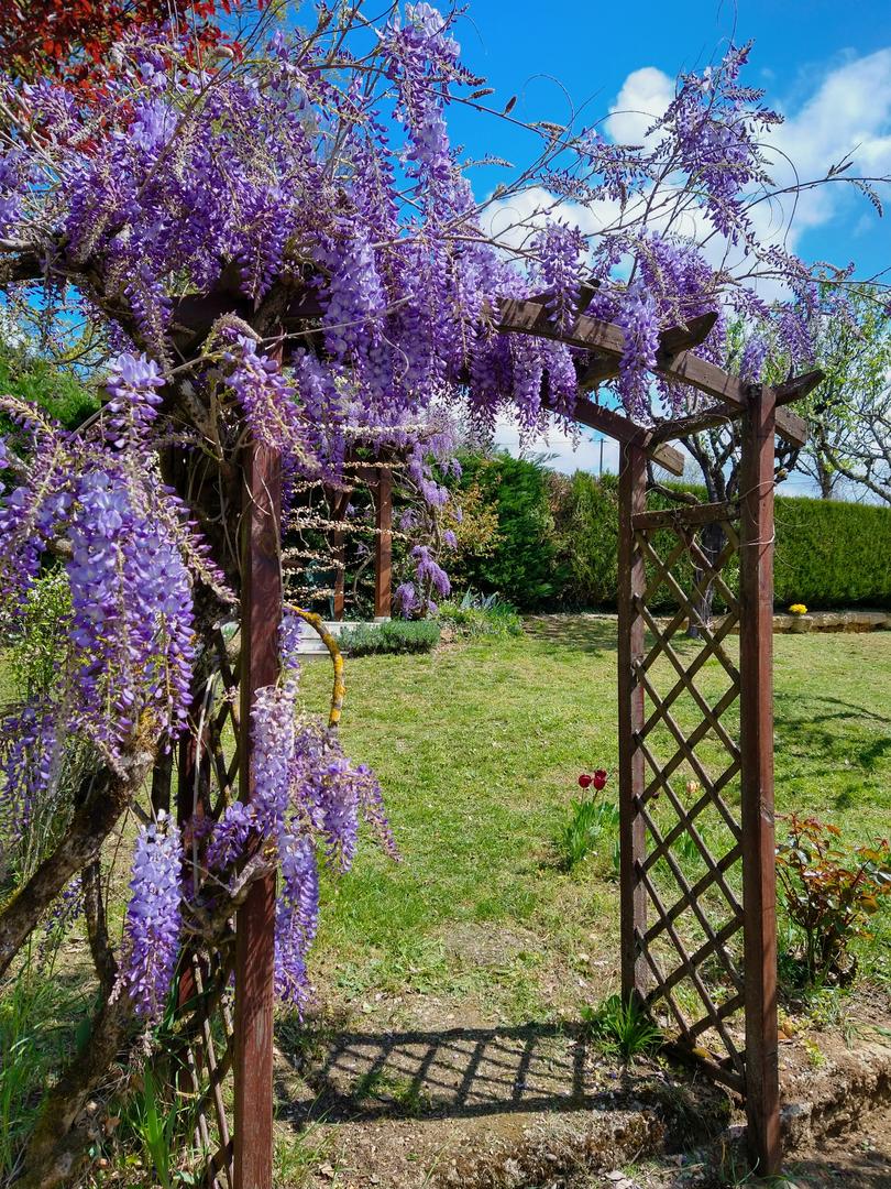 La Colline Chambre d'Hôtes, Sarlat-la-Canéda - photo 12