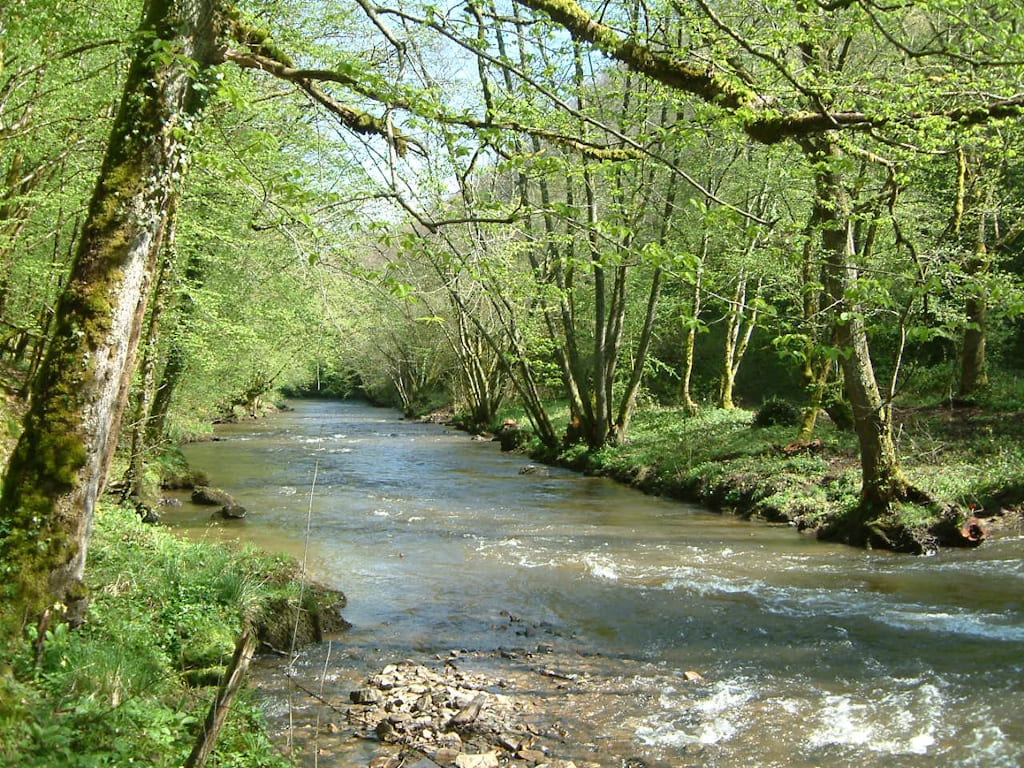 Parcours de pêche sur la Combade de Saint Denis des Murs, Saint-Denis-des-Murs - photo 2