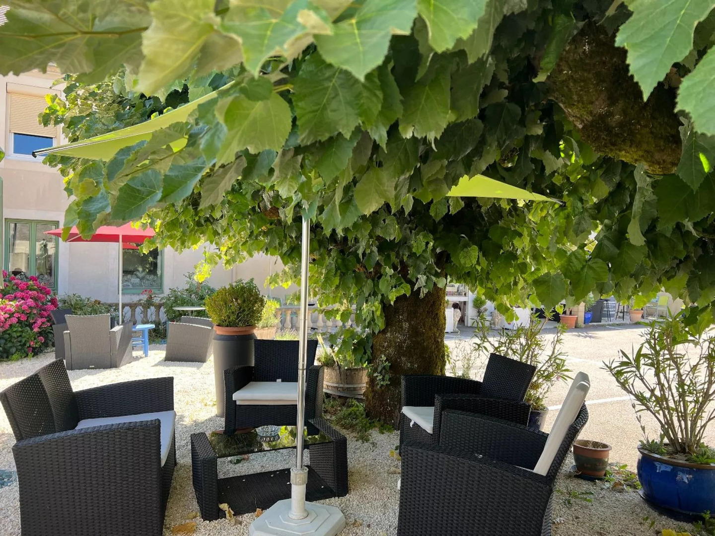 Les Voyageurs, La Coquille - photo 7