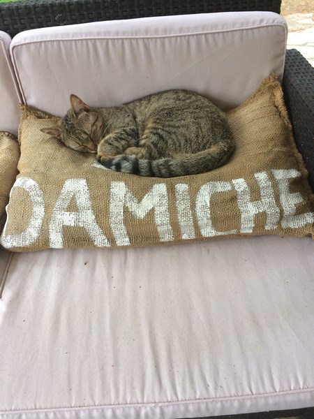 Chambre d'hôtes La Damiche, Rives - photo 10