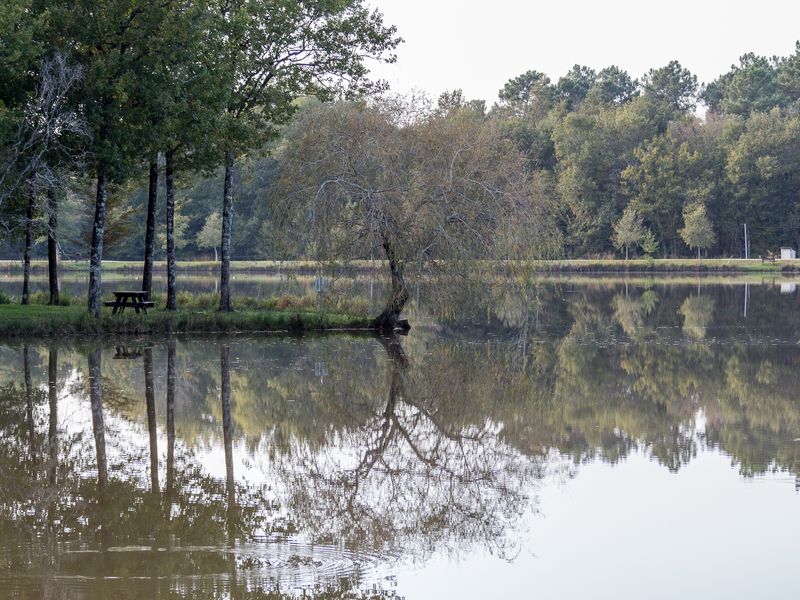 Forêt de la Double, Saint-Christophe-de-Double