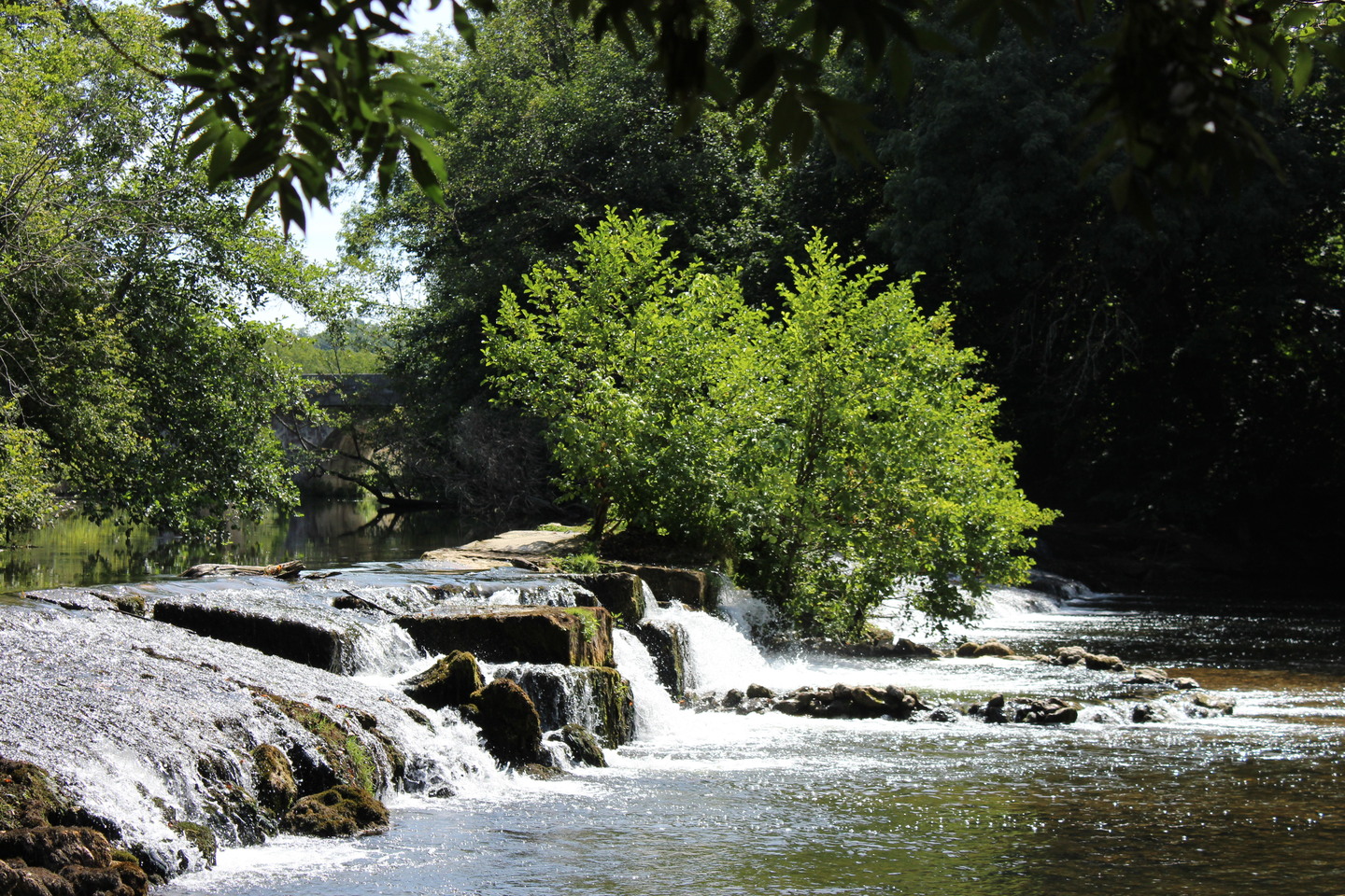Boucle de Grand-Brassac - Bois de Sinzelles - photo 4