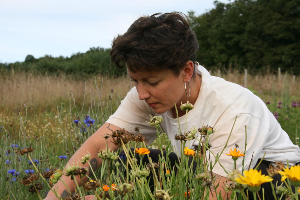 La Ferme Alpa - Plantes aromatiques et médicinales — photo 3