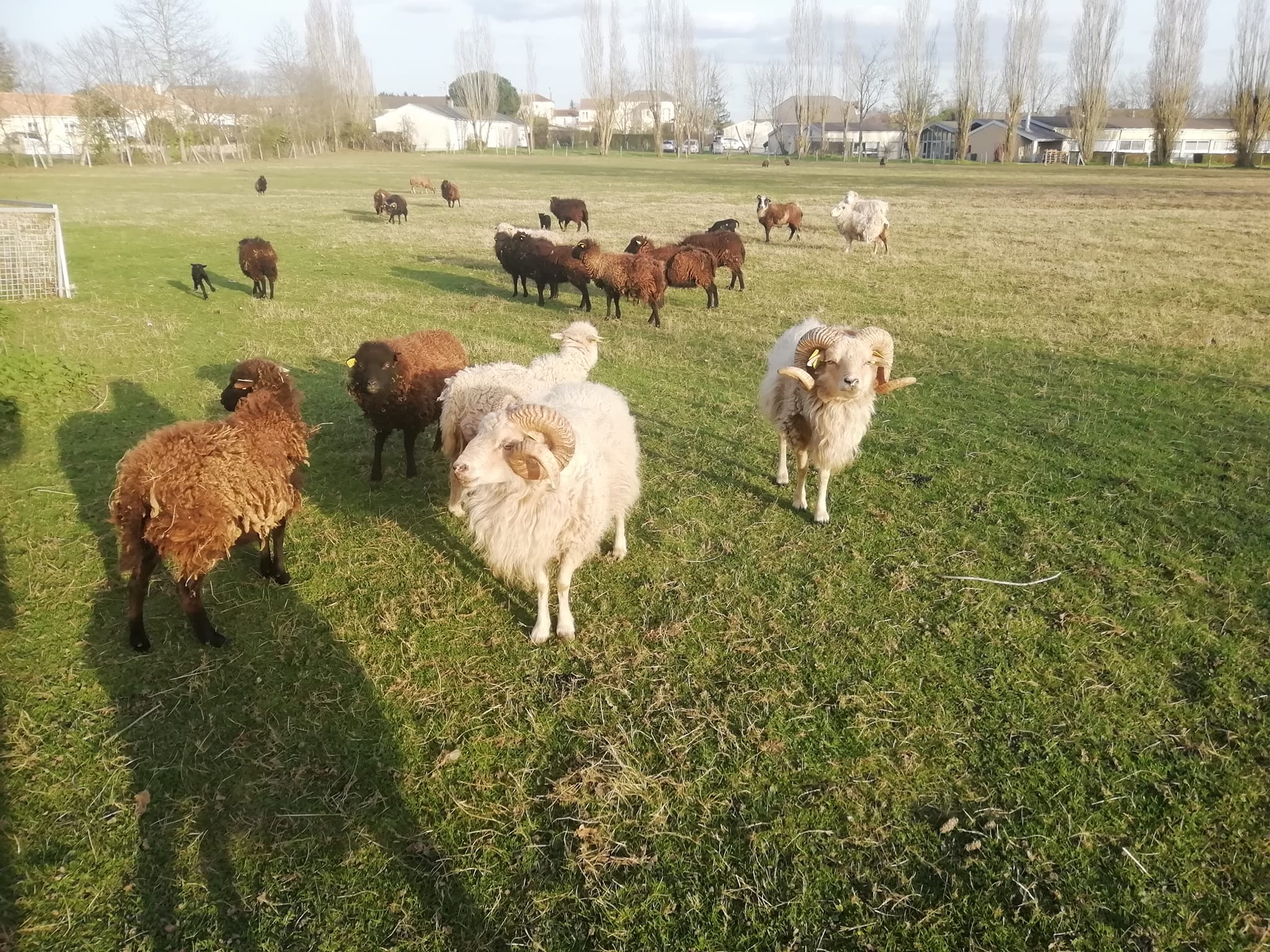 La Ferme de la Jalousie