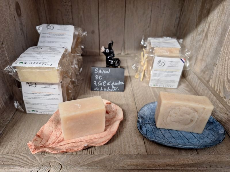 Fête de l'Âne et du soleil, Donnezac - photo 2