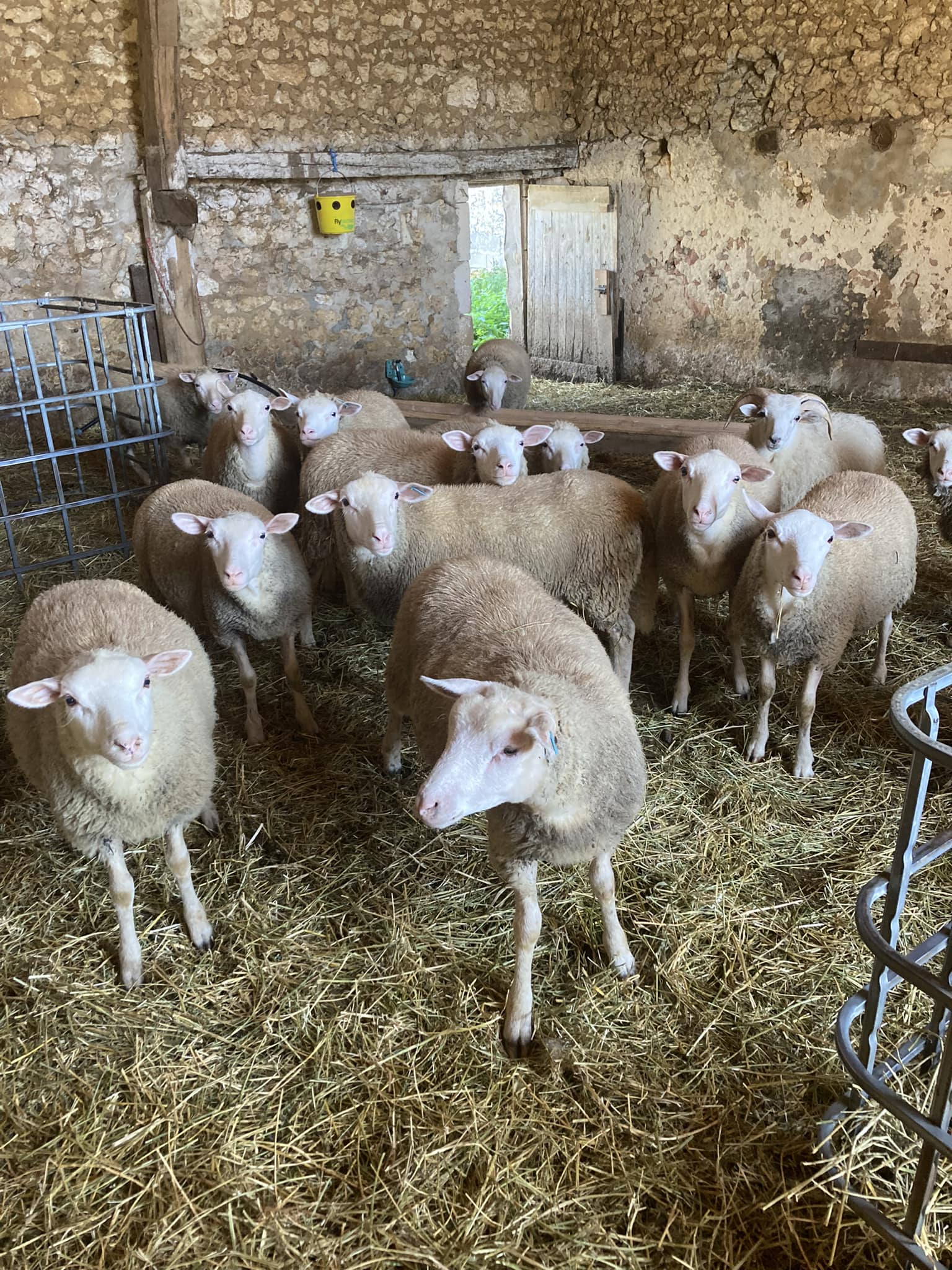 La Ferme du Bon Sens