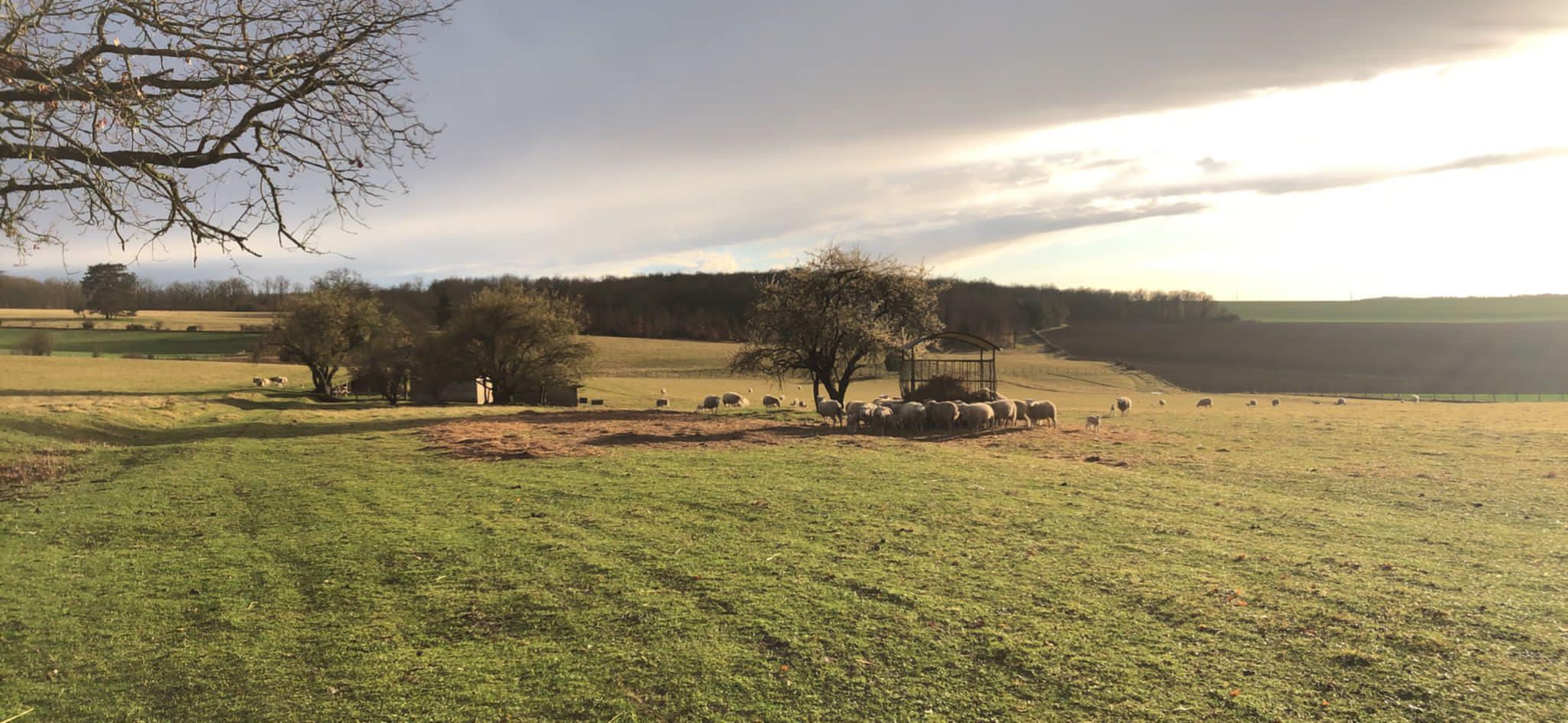 La Ferme du Bon Sens