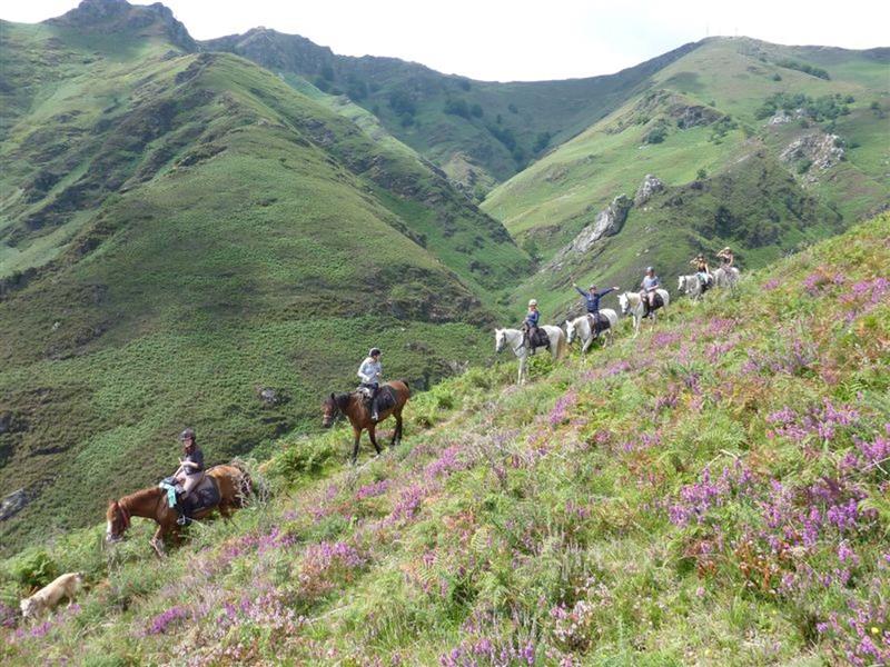 Ferme Équestre Les Collines