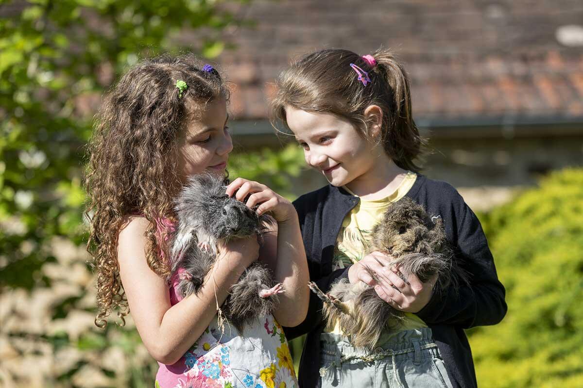 La Fermette du Pérougord, Rouffignac-Saint-Cernin-de-Reilhac - photo 3