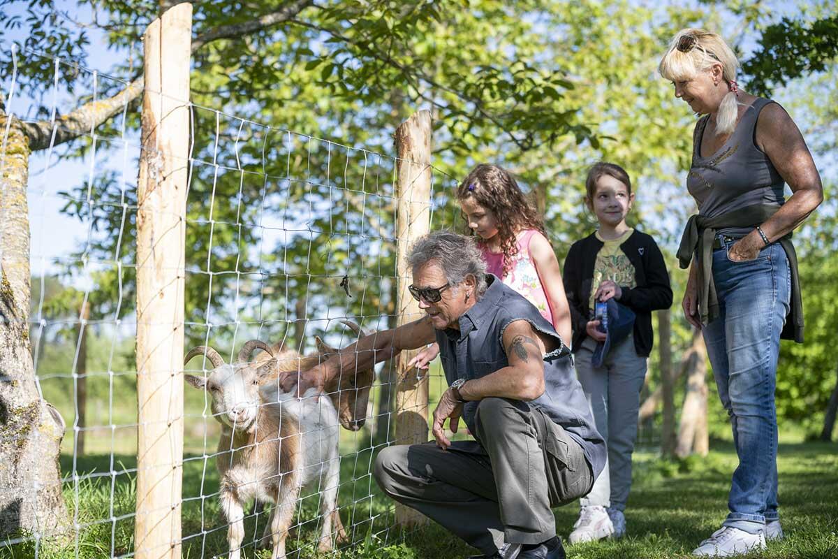 La Fermette du Pérougord, Rouffignac-Saint-Cernin-de-Reilhac - photo 5
