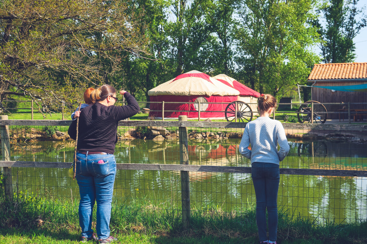 La Fermothèque, Lathus-Saint-Rémy - photo 7