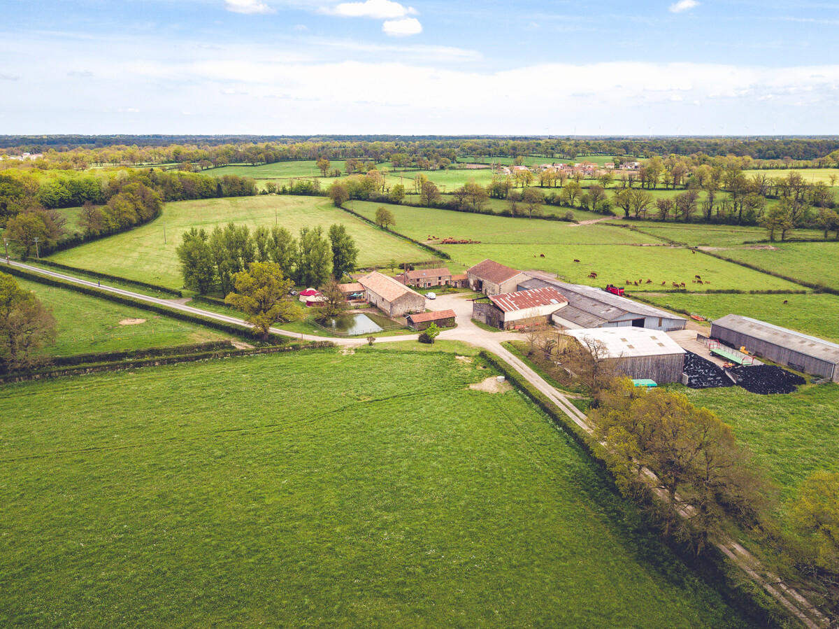 La Fermothèque, Lathus-Saint-Rémy - photo 8