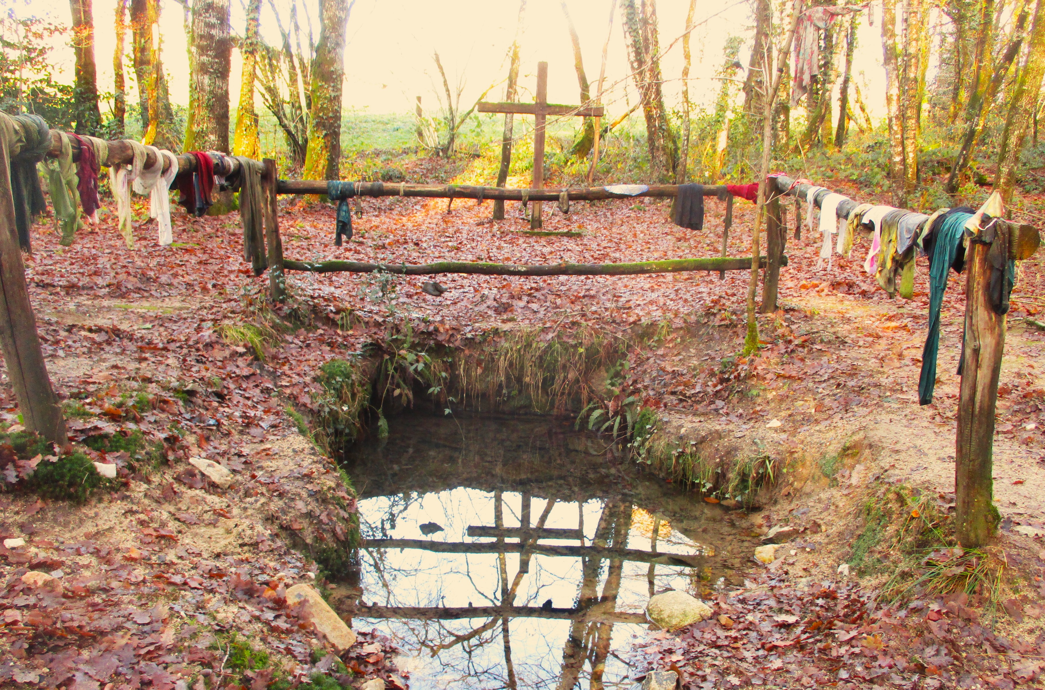 La Font Faure, Benayes - photo 2