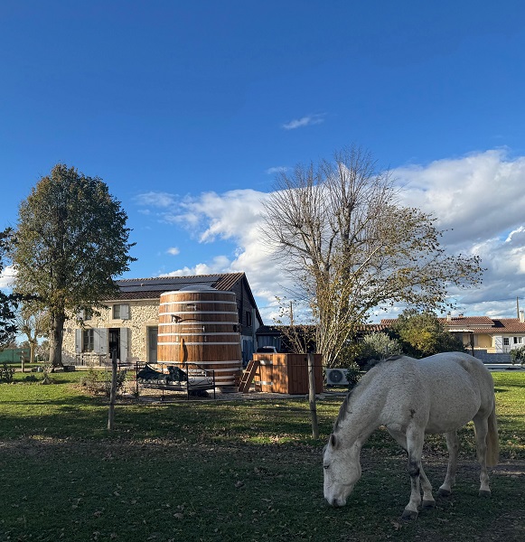 Le Nid du Coucou - Le Foudre Talbot, Cocumont - photo 9