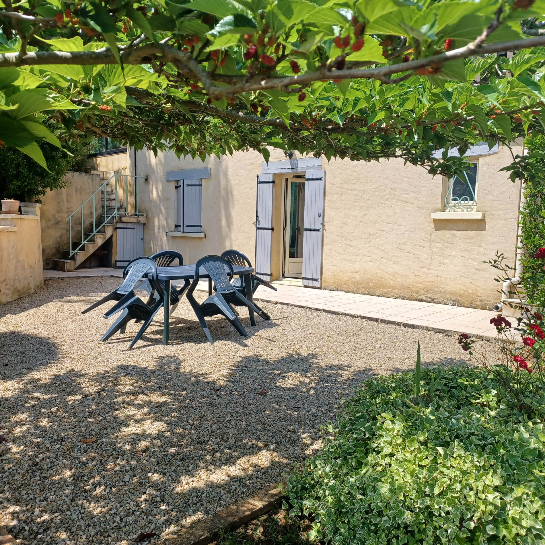 La Garrigue — photo 3