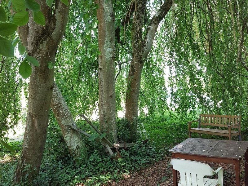 La Grange aux Arbres – Gîte Hêtre, Baron - photo 5