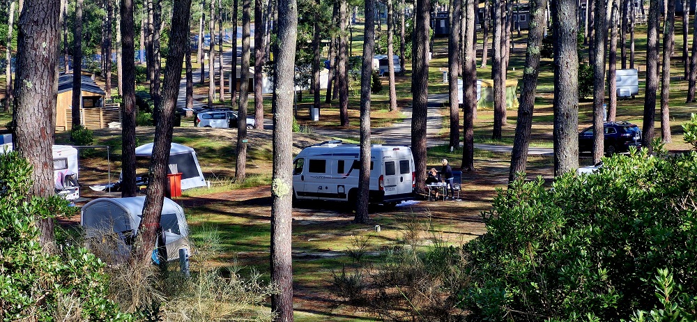 Camping municipal La Grigne - photo 2