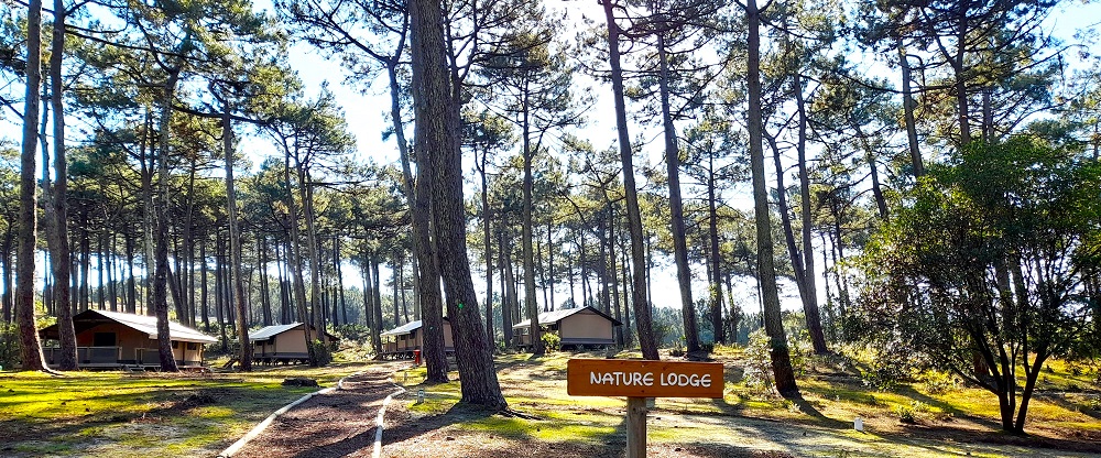 Camping municipal La Grigne - photo 3