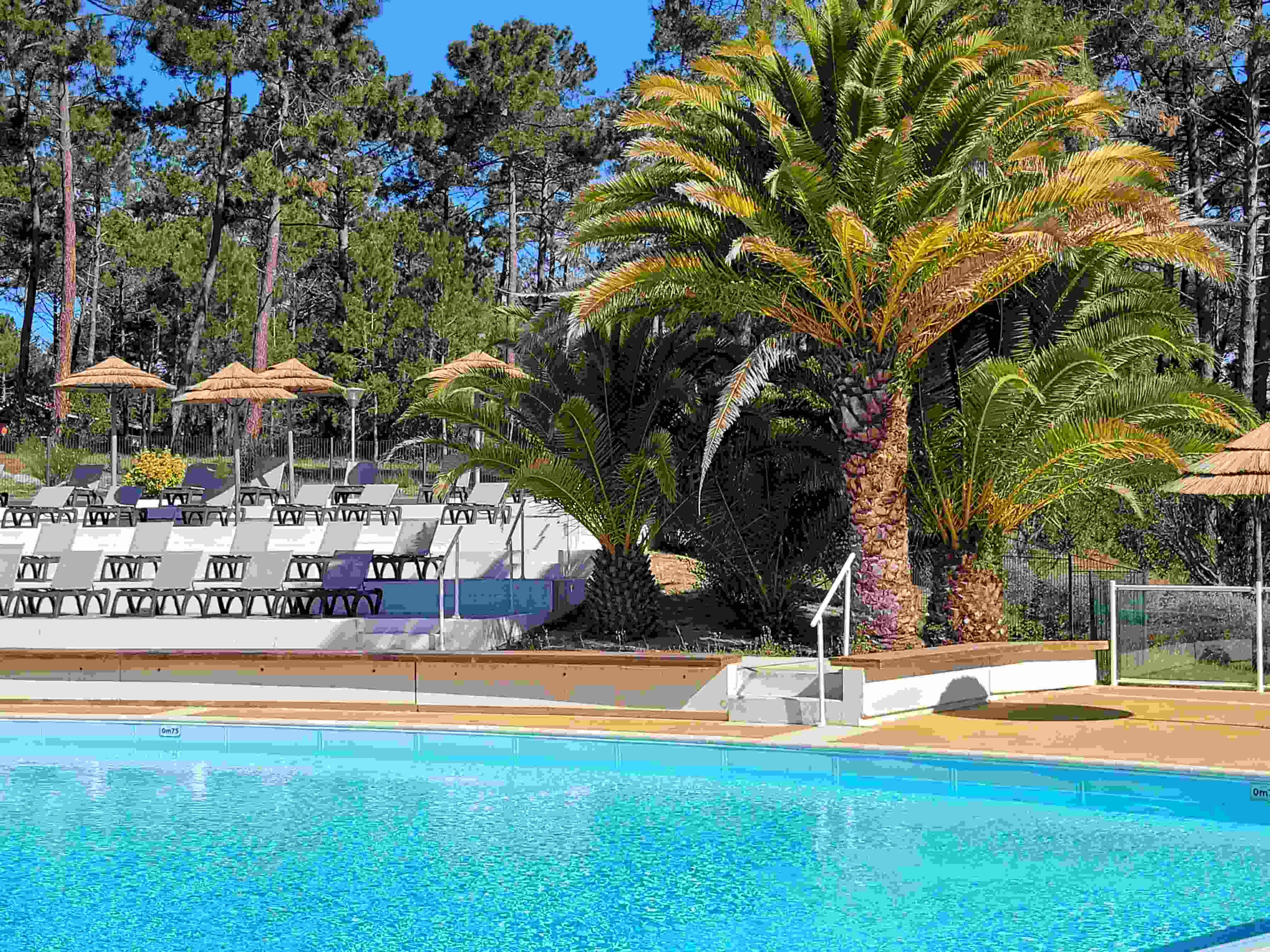 Domaine résidentiel naturiste La Jenny - photo 2