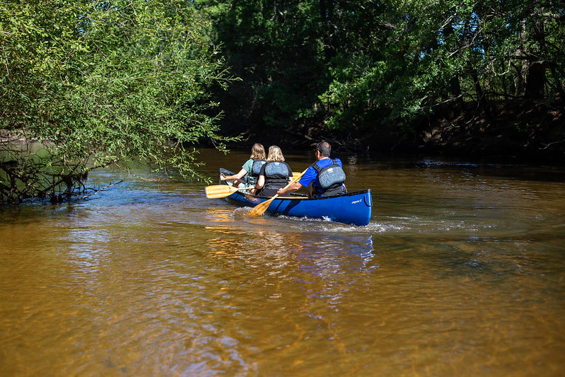 Tour de Gironde à vélo : étape 7 - Salles / Andernos, Salles - photo 2
