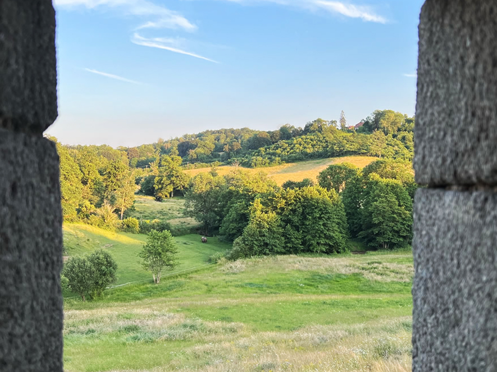 Location "La Maison d'Amis", La Villetelle - photo 8