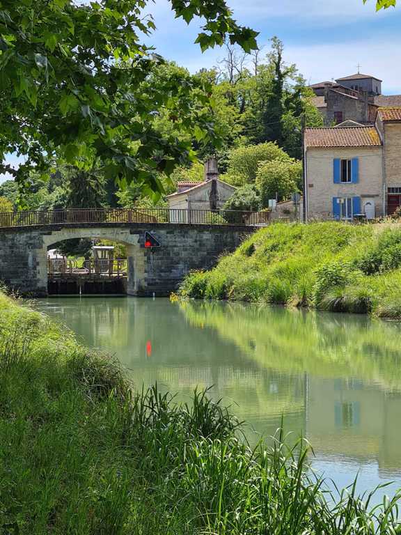 Les Bateaux de Garonne : Balade découverte La Massaise, Le Mas-d'Agenais - photo 3