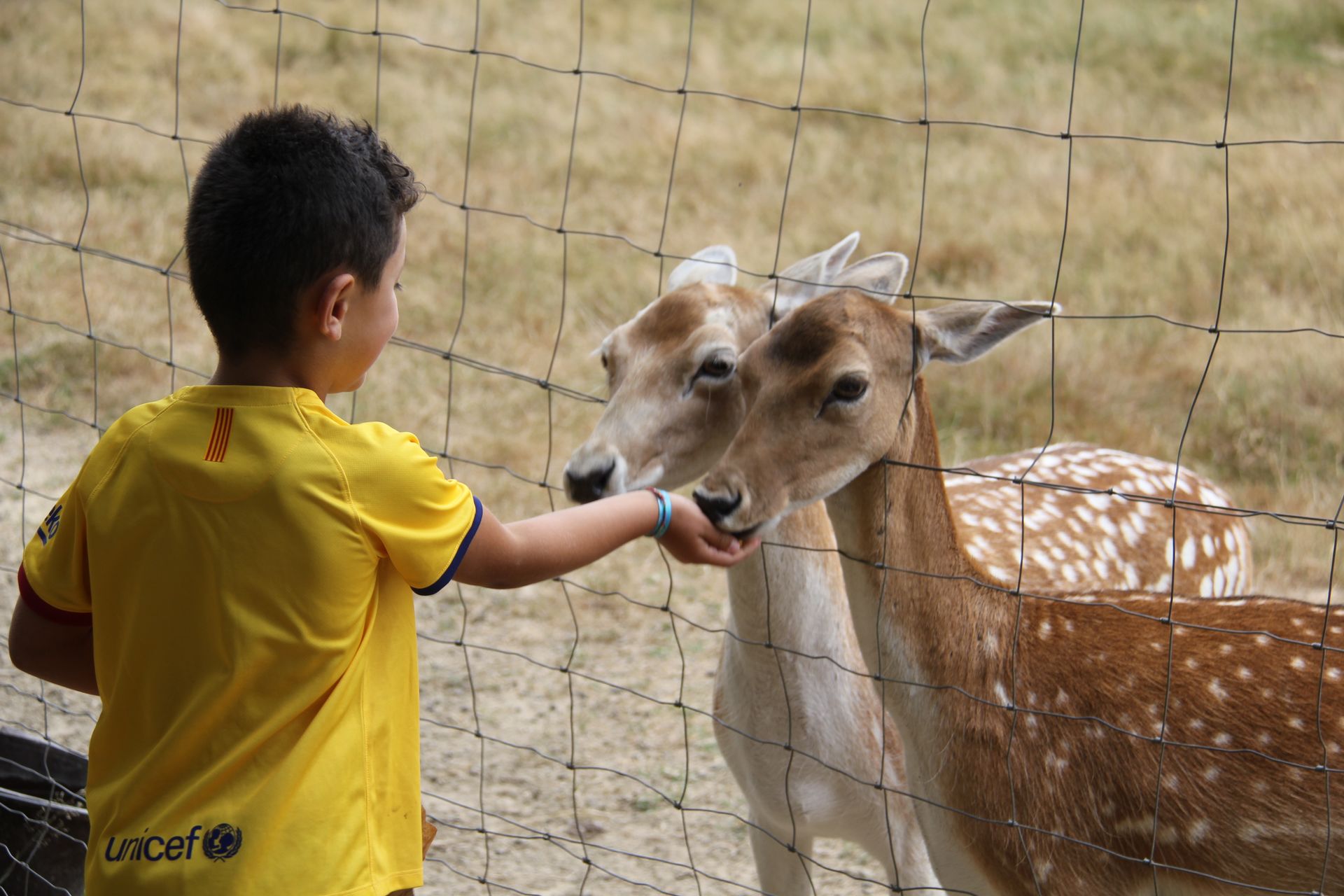 La Pêcherie d’Aurit, Hagetaubin - photo 8